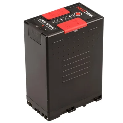 Info-Lithium Battery Pack for SONY - HED-BP95D